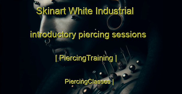 Skinart White Industrial introductory piercing sessions | PiercingTraining | PiercingClasses | SkinartTraining-Canada
